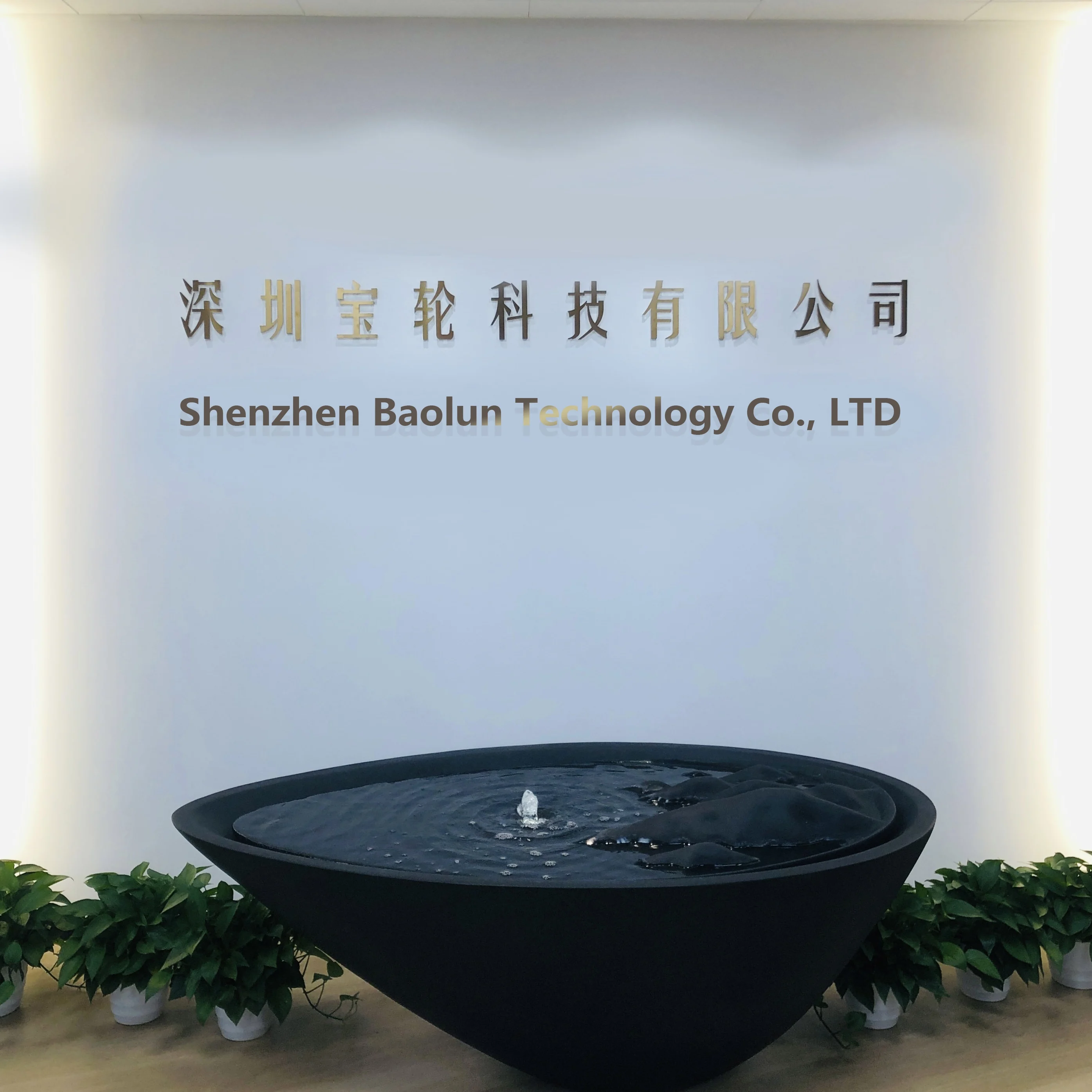 Shenzhen Baolun Technology Co., Ltd.