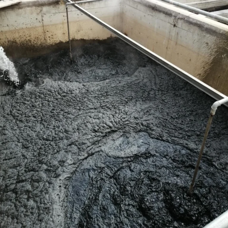 Printing/Dyeing Sewage Treatment Plant Dissolved Air Flotation DAF System Waste Water Treatment Plant