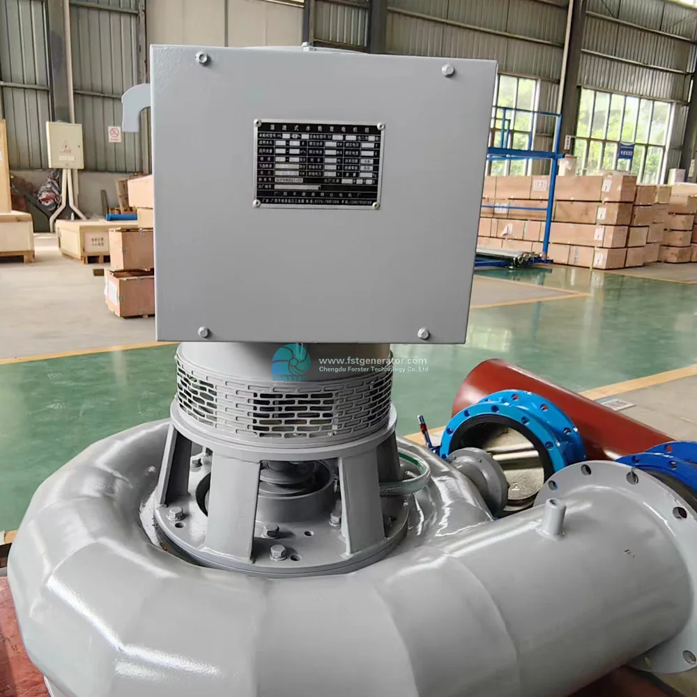 Générateur Hydroélectrique 1KW Lucky-Energy – Turbine Pelton 220V Off-Grid