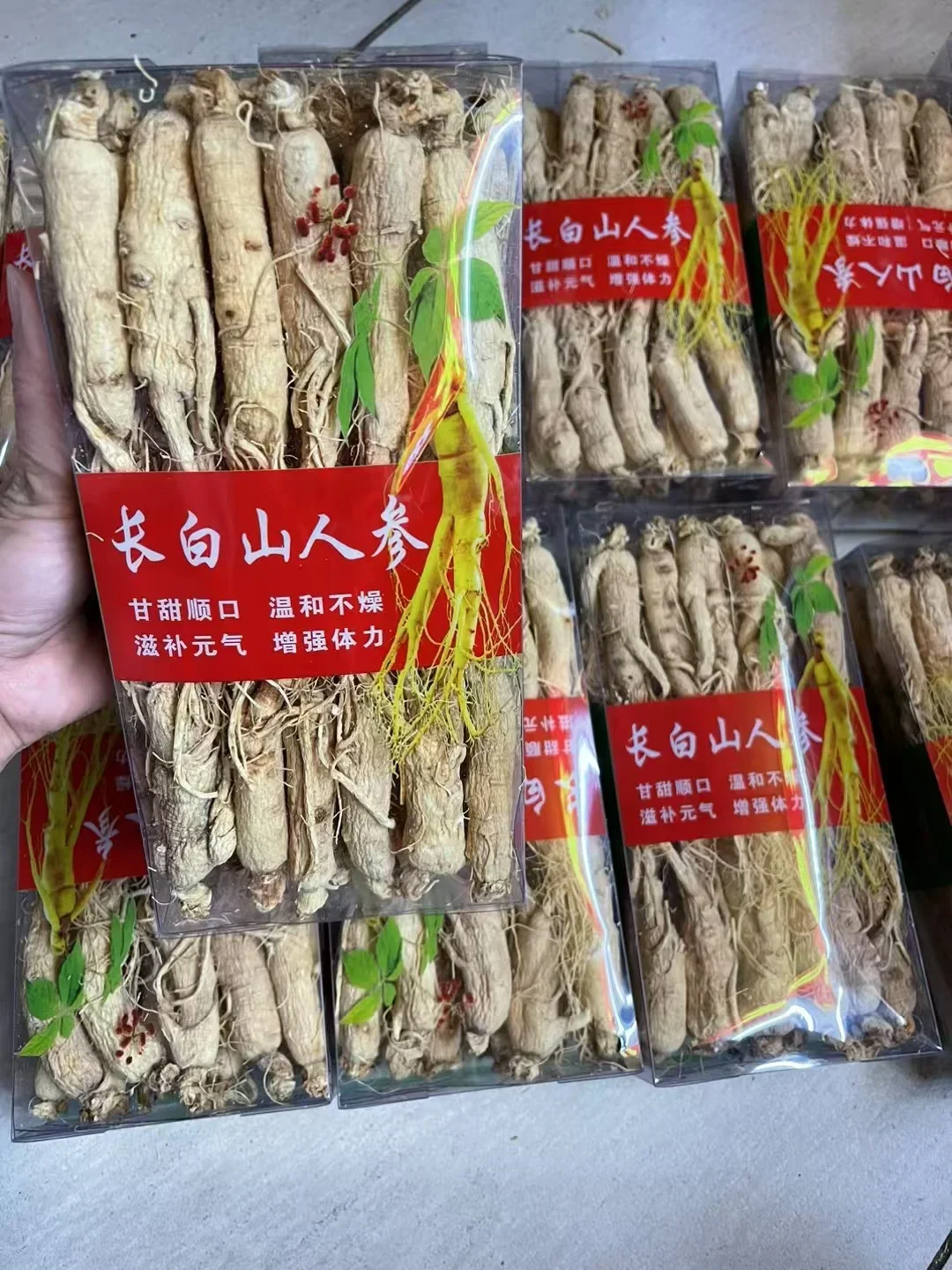 長白山産　乾燥山参 贈答用箱入り 中国産高品質乾燥ハーブ単品香辛料大粒生長白山白参根| Alibaba.com