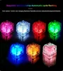 Rainbow/ 7 colors