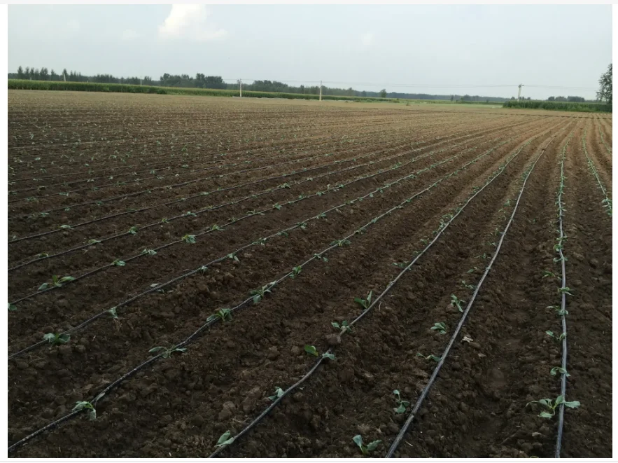 Pressure Compensation Drip Irrigation Tape Biodegradable Drip Tape for Sale