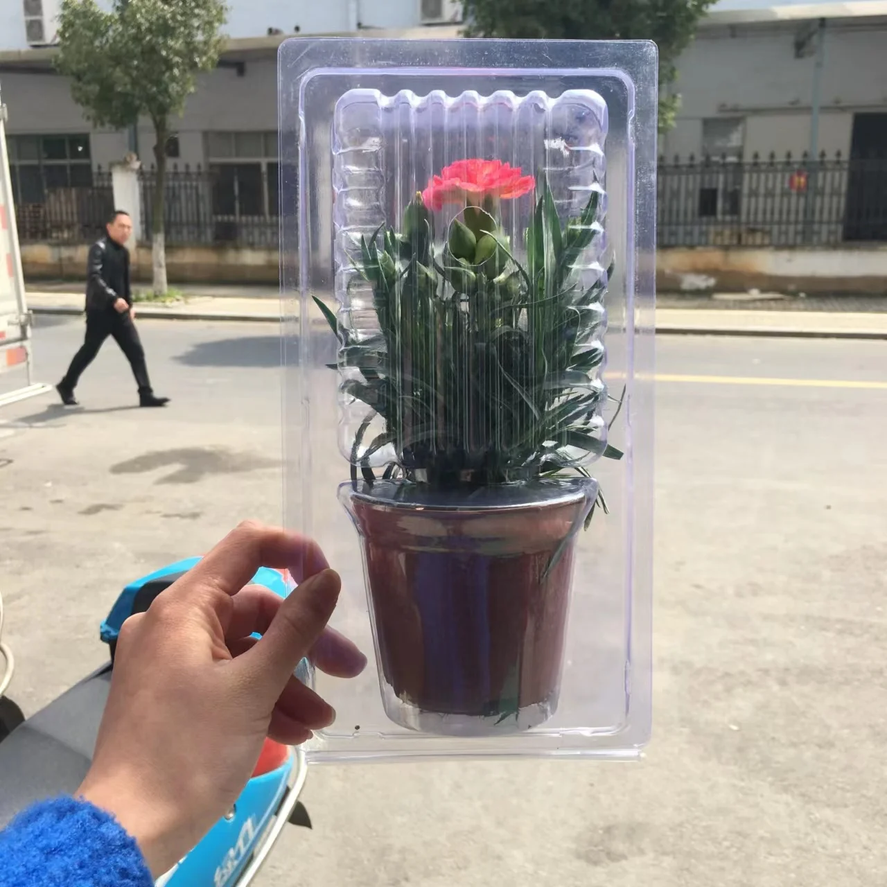 Plastic Clamshell Box For Potted Plants Blister Packing Box For Plants