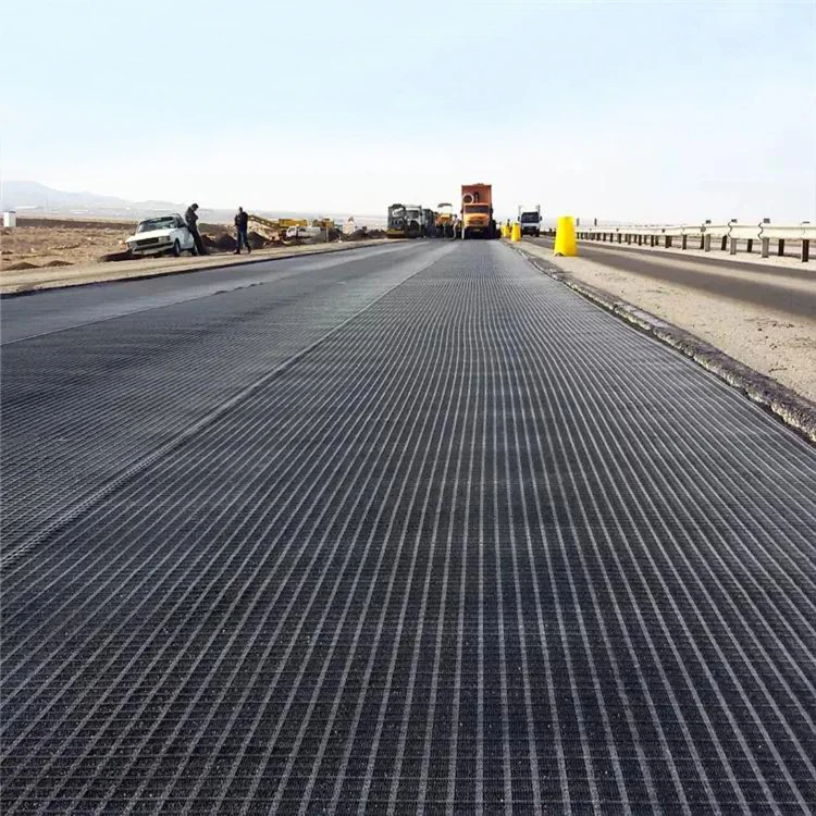 Fiberglass Geogrid Biaxial Uniaxial Glass Fiber Geogrid For Asphalt Road High Strength Biaxial /Fiberglass Plastic Geogrid factory