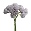 Lavanda Púrpura