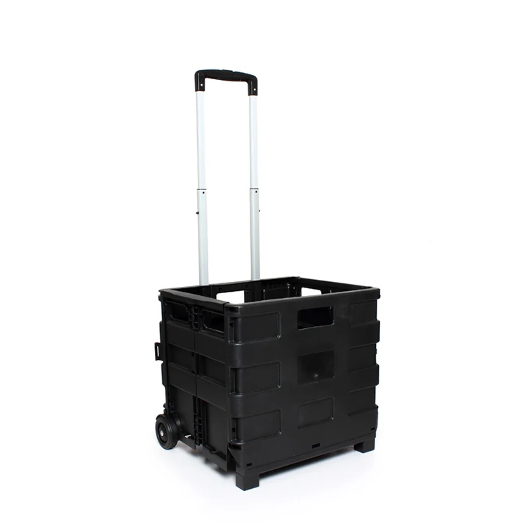 A903404-black (1).jpg