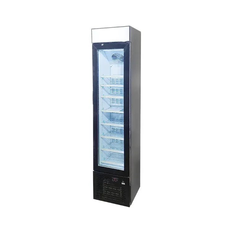 Custom logo Commercial Frozen Refrigerator Vertical Freestanding Compressor Fridge Freezer for Ice Cream Display