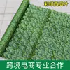[Color Print] Watermelon Leaf Fence