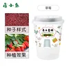 Strawberry planting kit