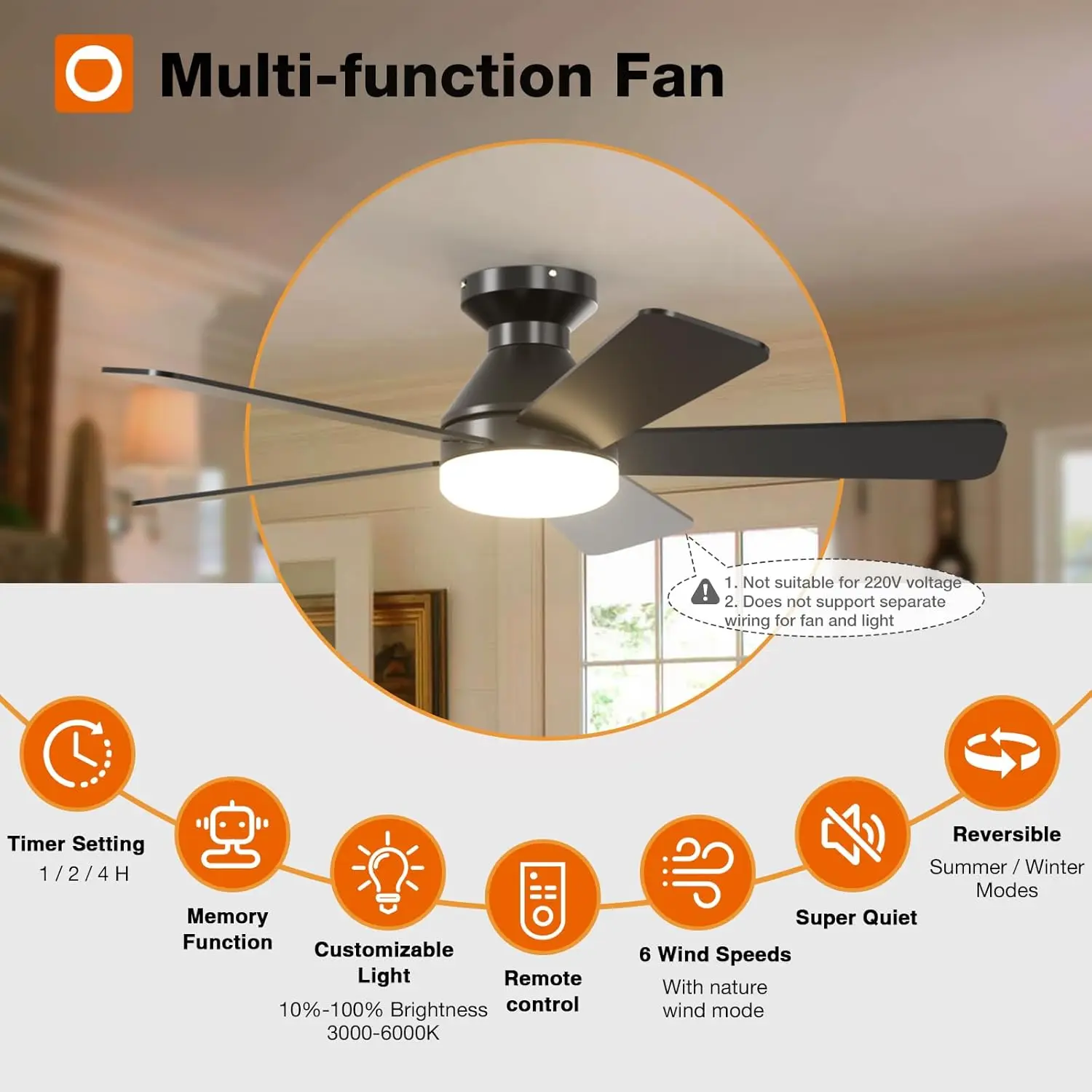 Ceiling Fan, 265V, 30W LED Light, Metal - detail 4
