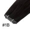 1b