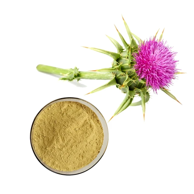 Supply Milk Thistle Seed Extract 80 Silymarin Free Sample High Quality