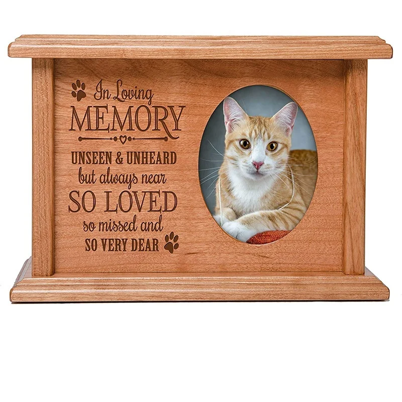 cat ashes box