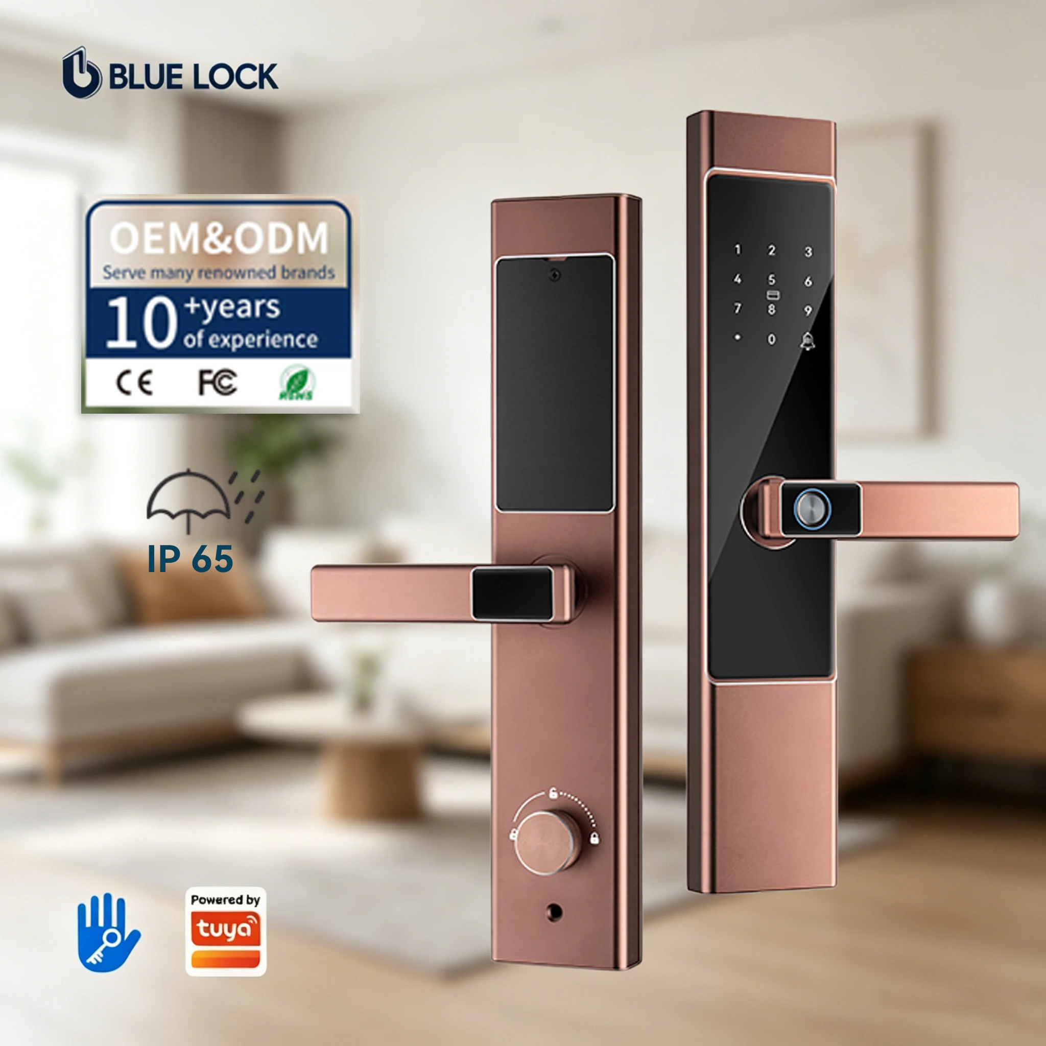 Tuya App WiFi Mobile Cloud Control TTlock Fingerprint Smart Door Lock Handles Keyless Stainless Steel /Wood/Aluminum Doors