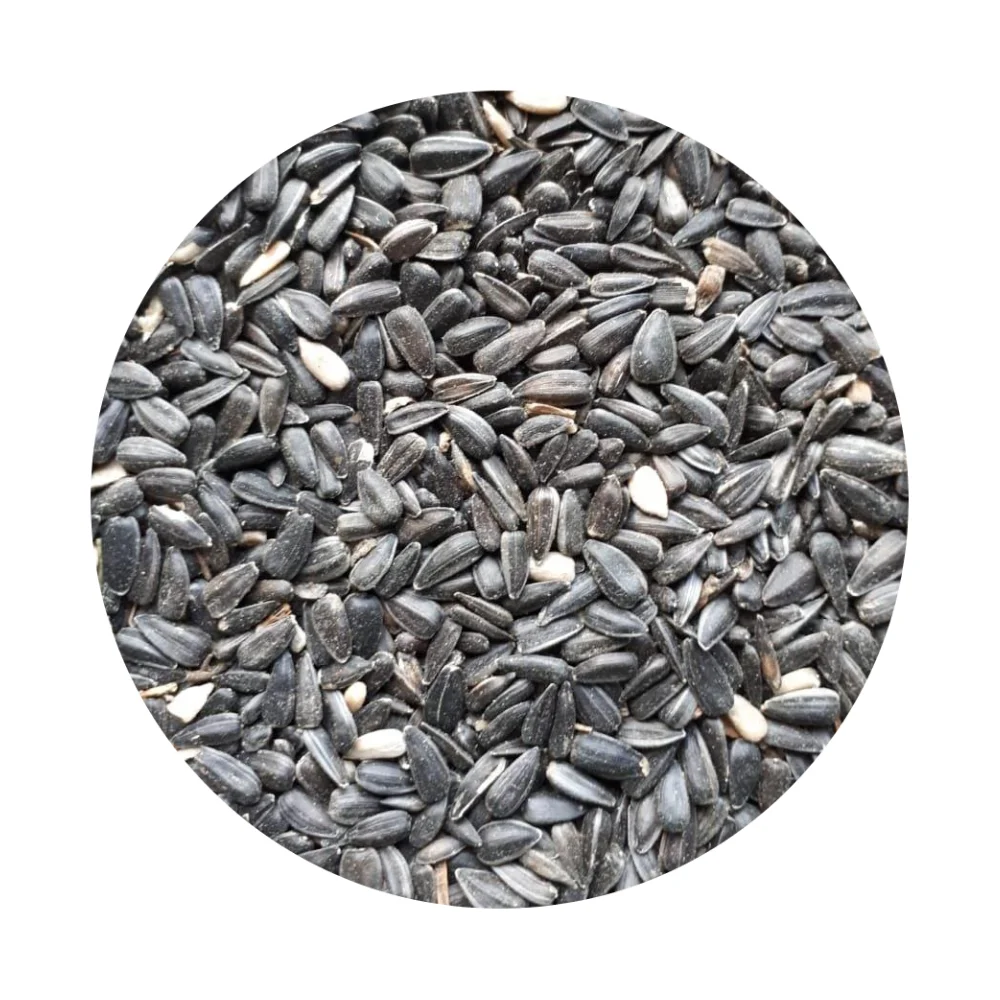 Organic Sunflower Seeds 500MT Agricultural Kernels