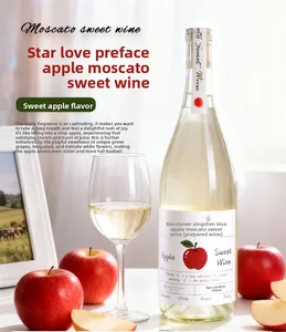 Bulk Purchase 10% ABV Apple Wine 750ML Silky Flavor Bottle FASTKING Cross-Border Trade Corporate Customization B2B Bars
