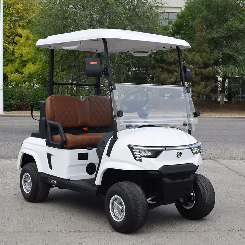 2024 Latest Design Mini Electric Golf Cart Custom 2 Seater Lithium Battery Golf Car