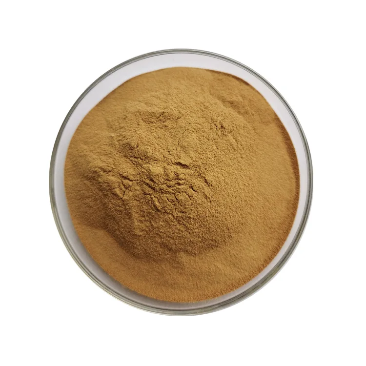 Pure Natural 10:1 Radix Isatidis Isatis Indigotica Fort Extract Indigowoad Root Extract