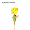 A Yellow Rose [Send a Bundle of Flowers, Leaves and Hemp Rope]]