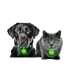 Glow in the dark-Green Color