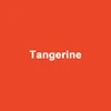 14 Tangerina (impresión del logo en un lado)