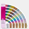 Colour