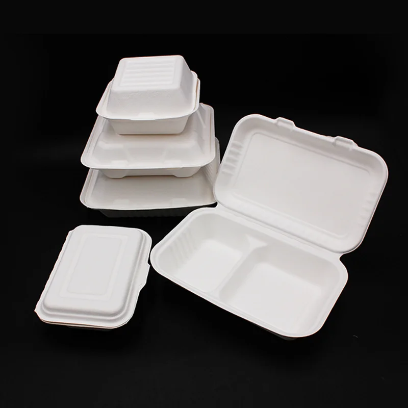 Wholesale Sugarcane Food Trays Disposable Pp Plastic 500Ml American Square Container Tiffin Box