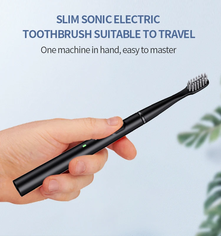 Professional Factory Rechargeable Sonic Electric Toothbrush Adult Travel Waterproof Personalized