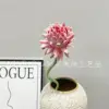 สีชมพูธิสเซิล