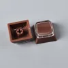 colorful Coffee-colored base - transparent cover