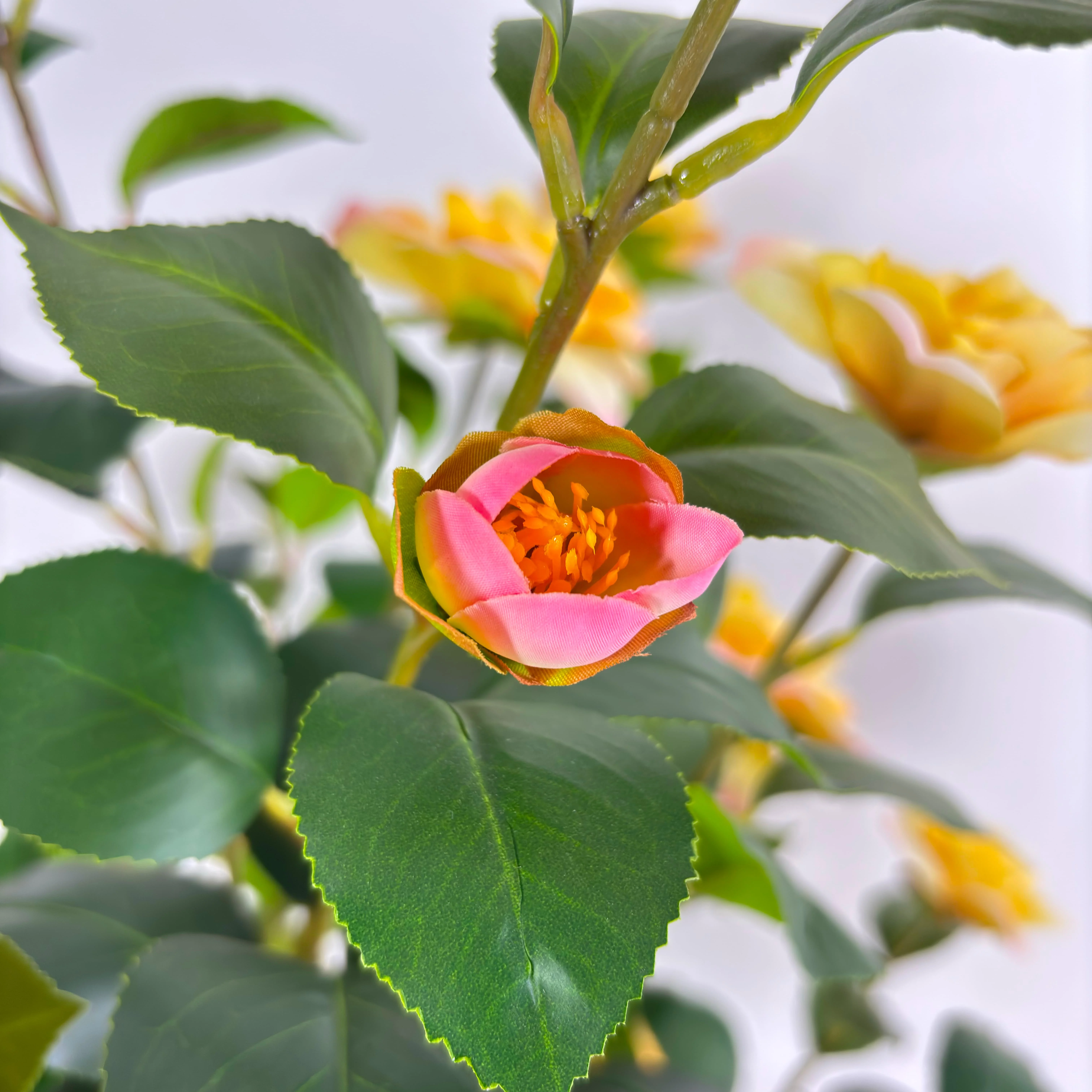 细节图1