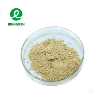 Bulk Supply Plant Extract Rice Protein 80% Powder Hydrolyzed Rice Protein Powder