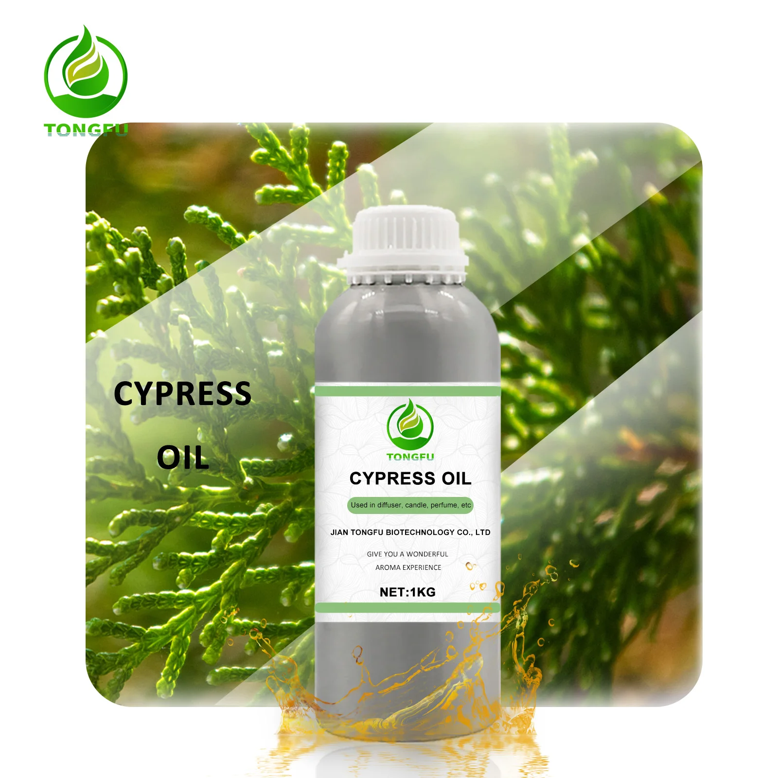 Factory Supply Organic Pure Cypress Oil Essential Bio Natural Essential Oil  for Face Body and Hair