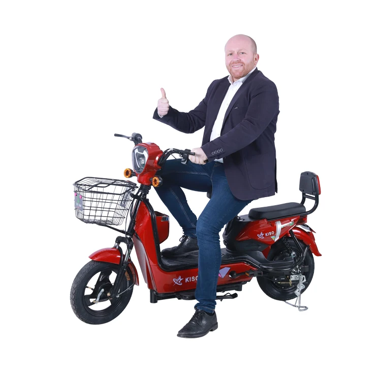 Ebike 車体　Yuki専用 12-5ah-250W-Li-ion-Battery-