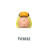 TV3032    TV3032