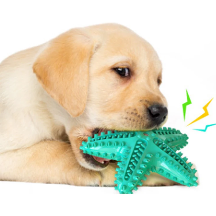 dog toothbrush bristly