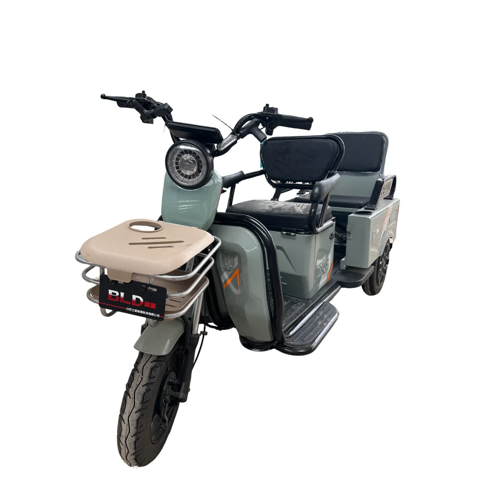 cargo trike electric motor tricycle
