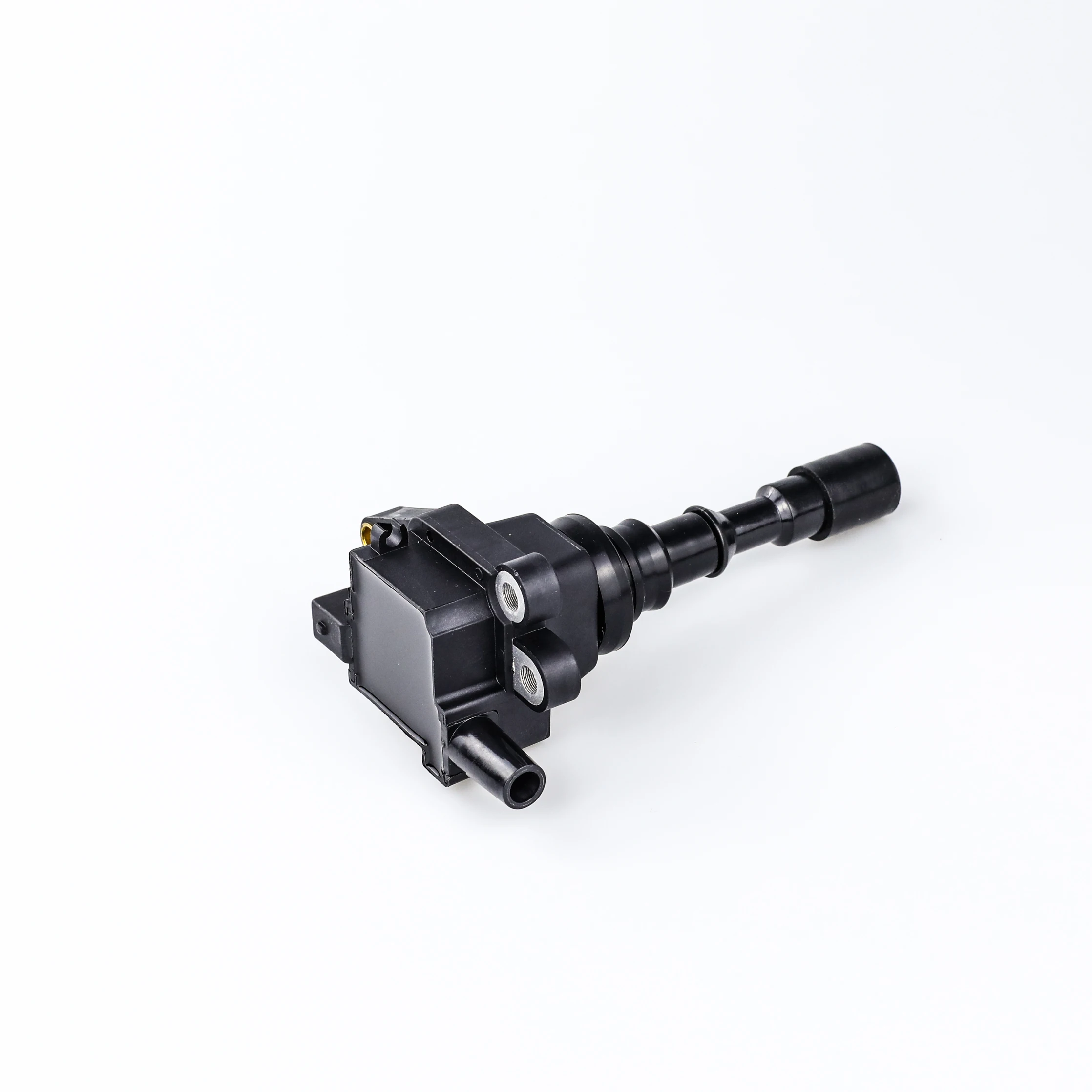Ignition Coil - F01R00A012