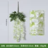 3-pronged white golden shower tree