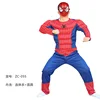 ZC-055 - Muscle - Spider Warrior