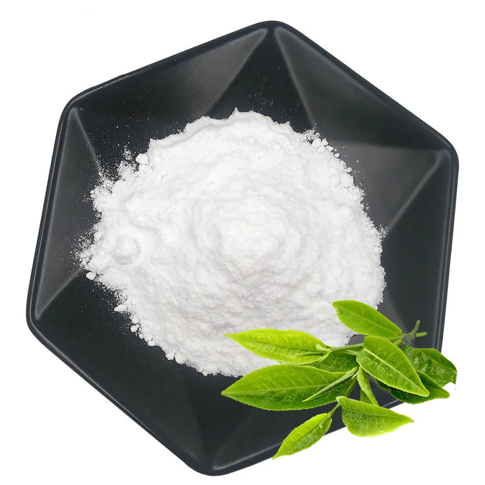 Shop High-Quality Pancreatin Powder for Digestive Health