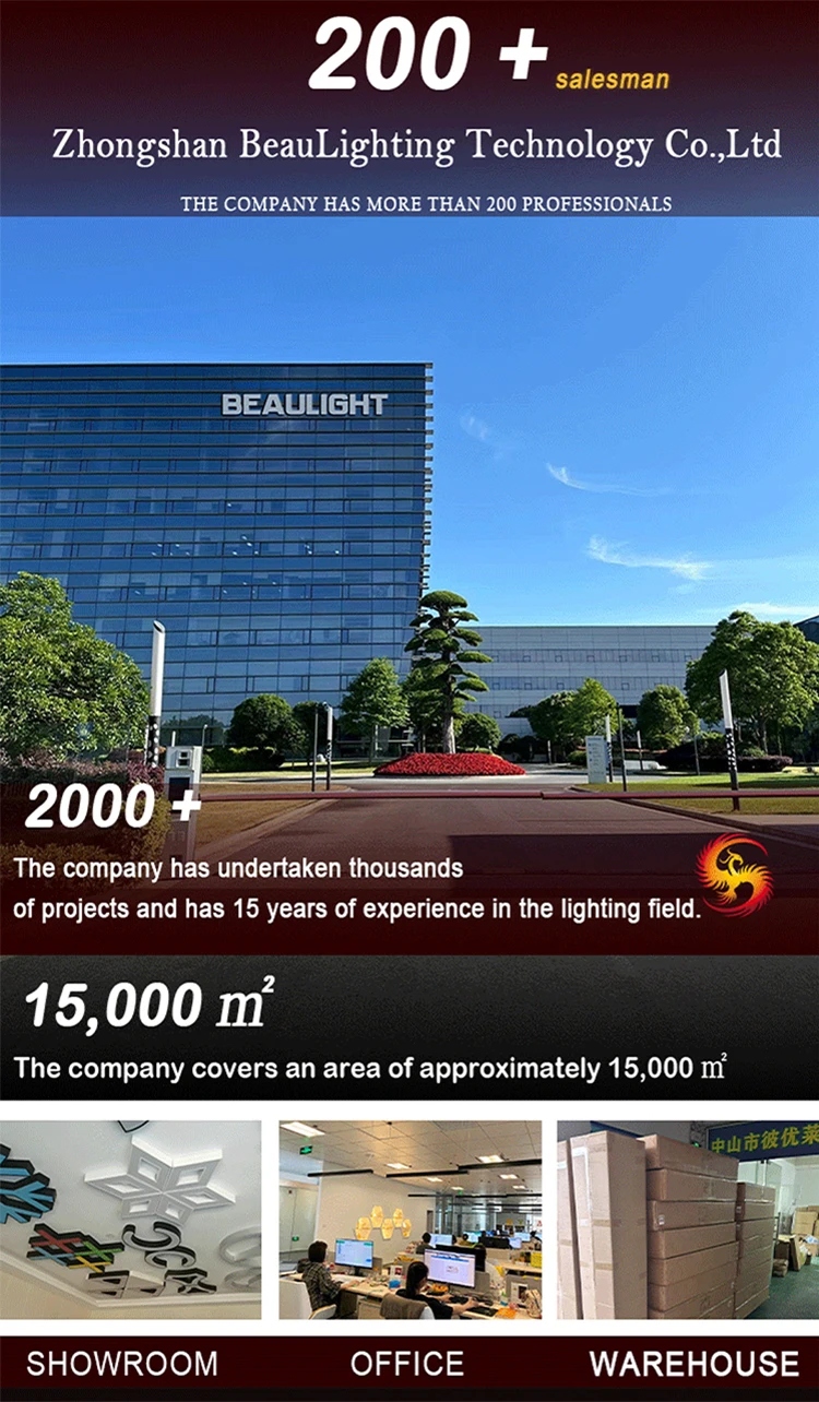 Company overview