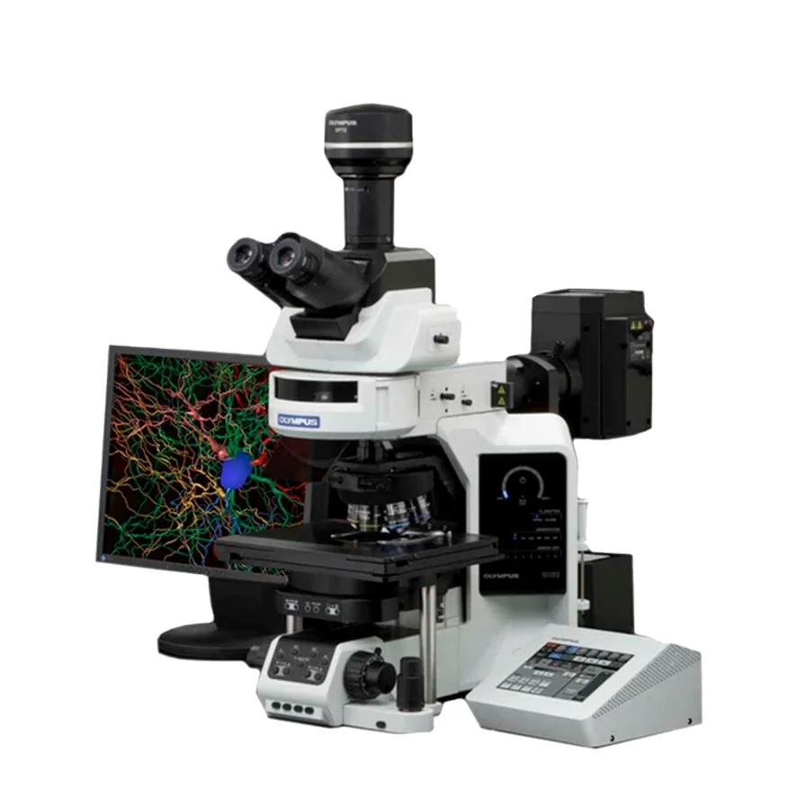 Olympus BX63 Fluorescence Microscope for Cell Culture & Research