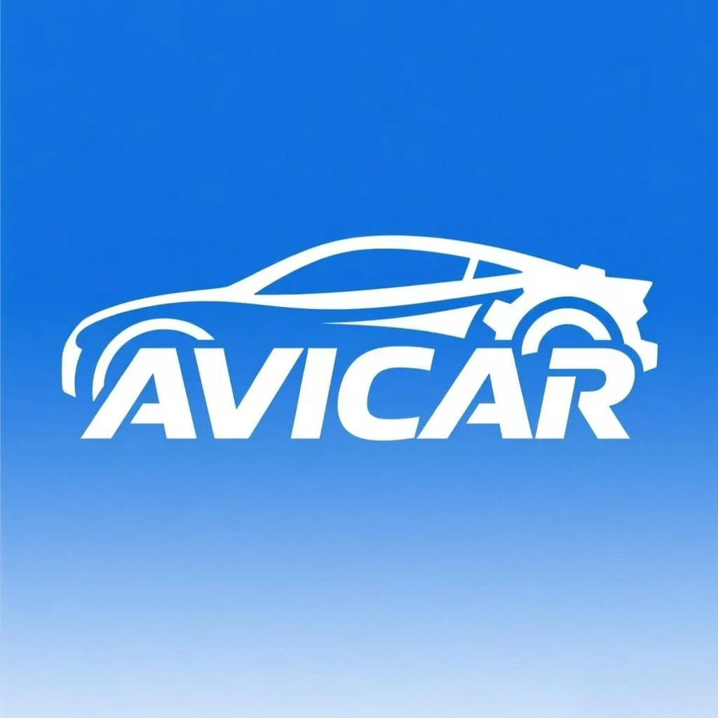 Company Overview - Xingtai AviCar Auto Parts Co., Ltd.