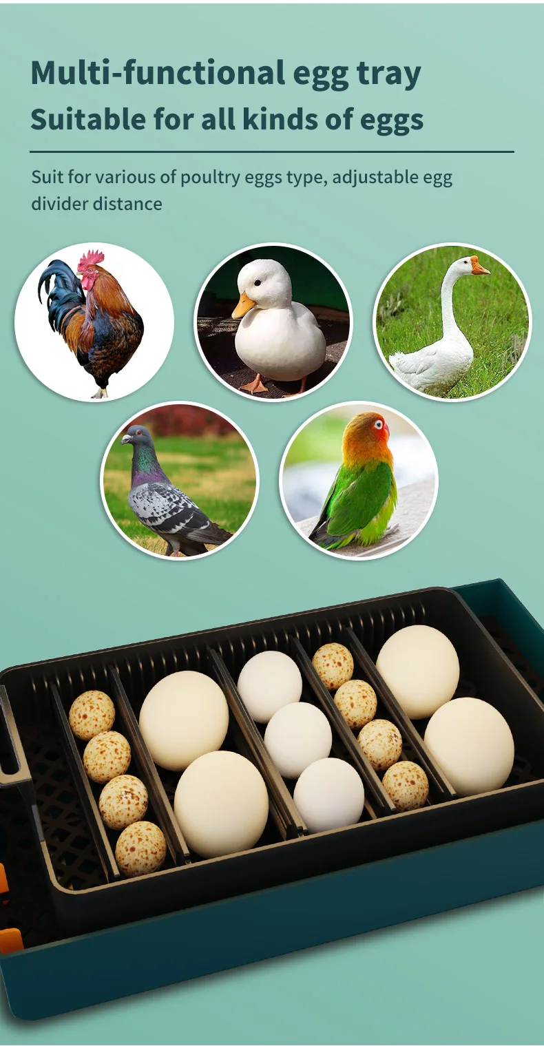 Fully Automatic 10 Capacity Egg Incubator Farming Equipment Poultry Chicken Egg Incubator