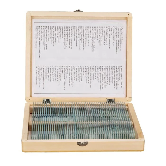 Средняя школа б/у Гистология стекло микроскоп шлепанцы без задника с открытыми пальцами ткани