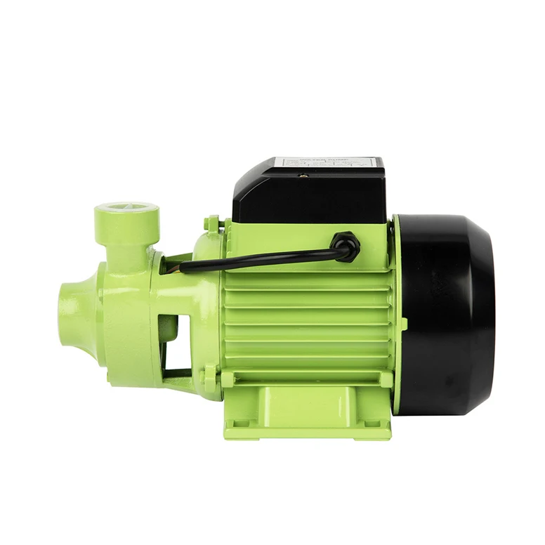 High Efficiency 1Hp Small Electric Power Water Peripheral Pump 110/220V Agricultural Irrigation Water Pumps