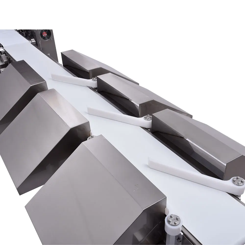 Custom High Speed and High Precision Digital Sorting Weighing Scale Automatic Checkweigher Weight Sorter Machine for Frozen Fish