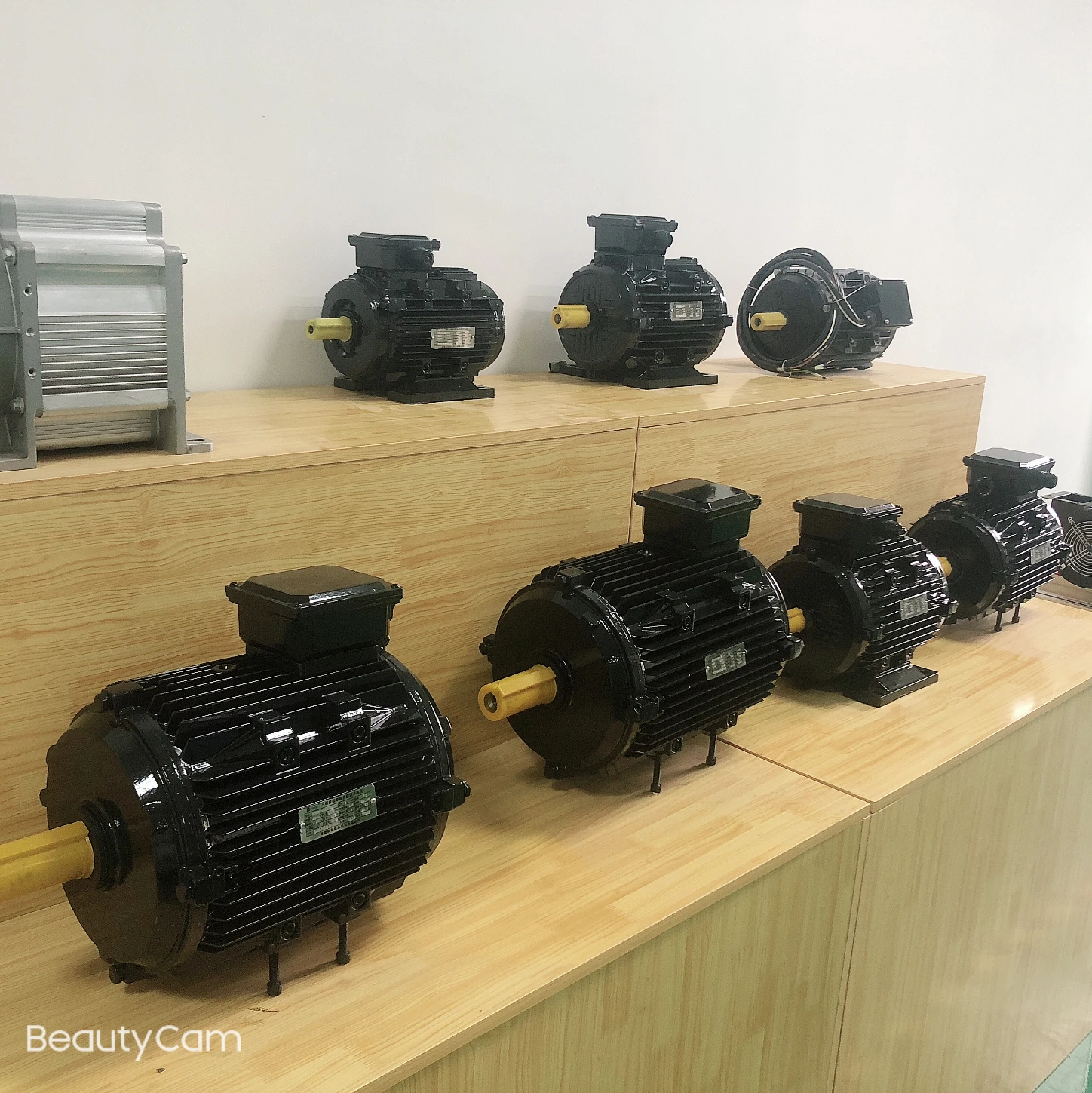 Synchronous Motor Direct Drive Selfstarting Electric Motors 0.75kw Ac