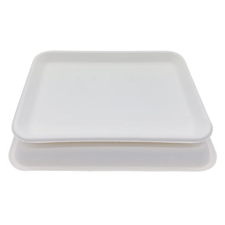 PFAS-free Disposable Compostable Tray  Rectangular Meat Tray Sugarcane Pulp Tray Paper Plates
